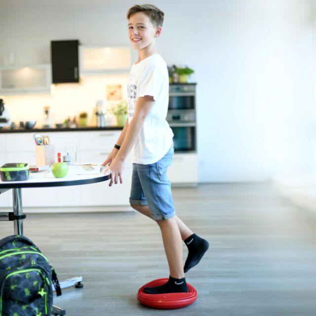 SISSEL Balancefit - Balance- und Sitzkissen